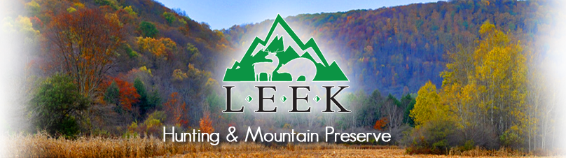 Leek Logo